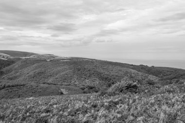Exmoor Ulusal Parkı 'ndaki Horner Ormanı' nın Dunkery tepesinden görüntü