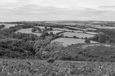 Exmoor Ulusal Parkı 'ndaki Horner Ormanı' nın Dunkery tepesinden görüntü