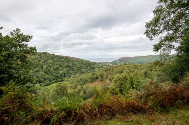 Horner Ormanı 'nın Exmoor Ulusal Parkı' ndaki manzara fotoğrafı.