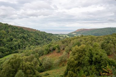 Horner Ormanı 'nın Exmoor Ulusal Parkı' ndaki manzara fotoğrafı.