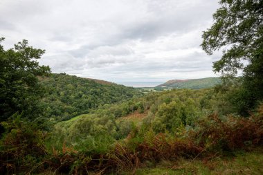 Horner Ormanı 'nın Exmoor Ulusal Parkı' ndaki manzara fotoğrafı.