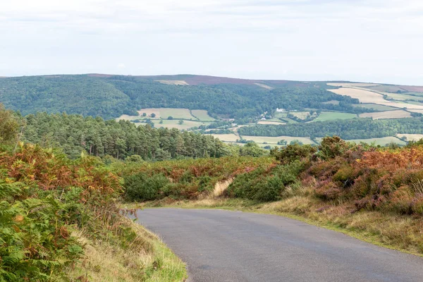 Exmoor Ulusal Parkı 'ndaki Horner Ormanı' nın Dunkery tepesinden görüntü