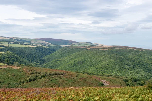 View Dunkery Hill Horner Woods Exmoor National Park — 图库照片
