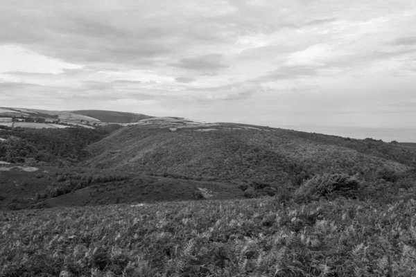 Θέα Από Λόφο Dunkery Του Horner Στο Εθνικό Πάρκο Exmoor — Φωτογραφία Αρχείου