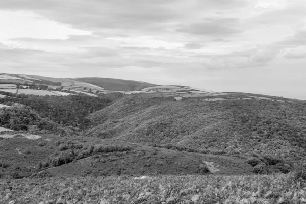 Pohled Kopce Dunkeryho Hornerově Lese Národním Parku Exmoor — Stock fotografie