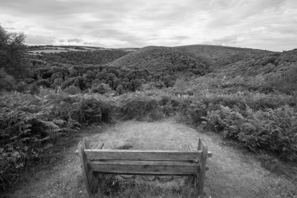 Utsikt Från Webbers Post Horner Skogen Exmoor Nationalpark — Stockfoto