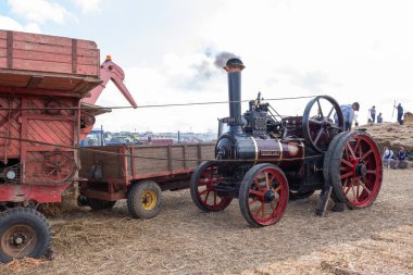 Tarrant Hinton. Dorset. Birleşik Krallık. 25 Ağustos 2022. 1910 Allchin çekici motoru Evedon Lad, Büyük Dorset Buhar Fuarı 'nda eski bir harman makinesine güç veriyor.