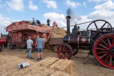 Tarrant Hinton. Dorset. Birleşik Krallık. 25 Ağustos 2022. 1910 Allchin çekici motoru Evedon Lad, Büyük Dorset Buhar Fuarı 'nda eski bir harman makinesine güç veriyor.