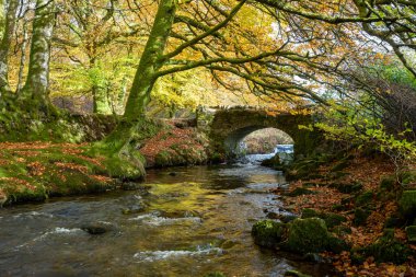 Sonbaharda Exmoor Ulusal Parkı 'ndaki Soyguncular Köprüsü' nün altından akan Weir Nehri.