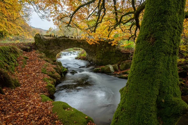 Der Wasserlauf Der Wehr Fließt Herbst Unter Der Räuberbrücke Exmoor — Stockfoto