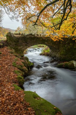 Sonbaharda Exmoor Ulusal Parkı 'ndaki Soyguncular Köprüsü' nün altından akan Weir Nehri.