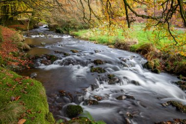 Sonbaharda Exmoor Ulusal Parkı 'ndaki Soyguncular Köprüsü' nün altından akan Weir Nehri.