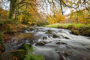 Sonbaharda Exmoor Ulusal Parkı 'ndaki Soyguncular Köprüsü' nün altından akan Weir Nehri.