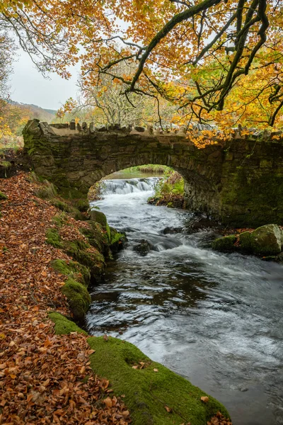 Rzeka Weir Water Płynie Jesienią Pod Mostem Rabusiów Parku Narodowym — Zdjęcie stockowe