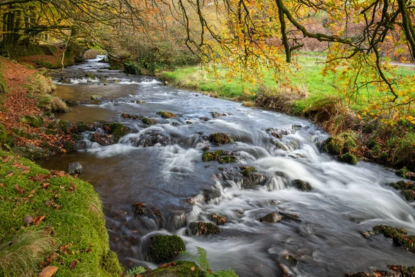 Weir Water Joki Virtaa Rosvojoen Sillan Alla Exmoorin Kansallispuistossa Syksyllä — kuvapankkivalokuva