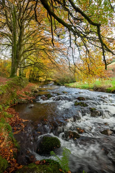 Weir Water River Flowing Robbers Bridge Exmoor National Park Autumn — Stock Photo, Image