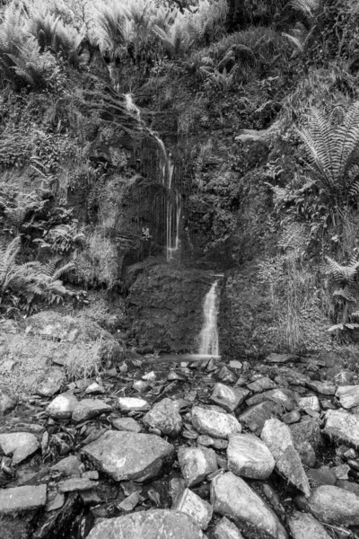 Довгий Час Водоспад Холловбрук Південно Західному Узбережжі Від Вуді Бей — стокове фото