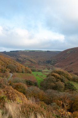 Exmoor Ulusal Parkı 'ndaki Robbers Köprüsü' ndeki Weir Nehri boyunca dairesel yürüyüş boyunca sonbahar renklerinin manzara fotoğrafı.