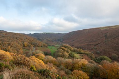 Exmoor Ulusal Parkı 'ndaki Robbers Köprüsü' ndeki Weir Nehri boyunca dairesel yürüyüş boyunca sonbahar renklerinin manzara fotoğrafı.