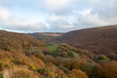 Exmoor Ulusal Parkı 'ndaki Robbers Köprüsü' ndeki Weir Nehri boyunca dairesel yürüyüş boyunca sonbahar renklerinin manzara fotoğrafı.