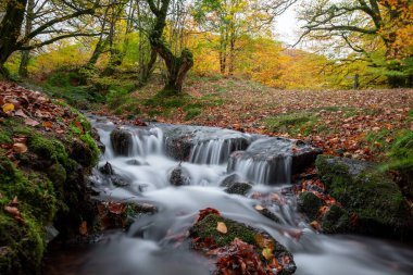 Exmoor Ulusal Parkı 'ndaki Soyguncular Köprüsü' nden akan Weir Nehri 'ne akan şelalenin uzun süre maruz kalması.