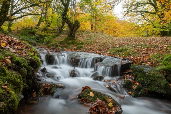 Exmoor Ulusal Parkı 'ndaki Soyguncular Köprüsü' nden akan Weir Nehri 'ne akan şelalenin uzun süre maruz kalması.