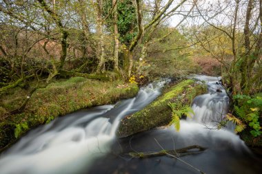 Exmoor Ulusal Parkı 'ndaki Hırsızlar Köprüsü' ndeki vadiden akan Weir Nehri 'ndeki bir şelaleye uzun süre maruz kaldım.