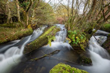 Exmoor Ulusal Parkı 'ndaki Hırsızlar Köprüsü' ndeki vadiden akan Weir Nehri 'ndeki bir şelaleye uzun süre maruz kaldım.