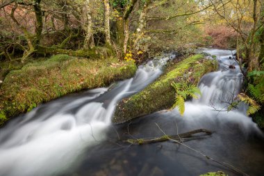 Exmoor Ulusal Parkı 'ndaki Hırsızlar Köprüsü' ndeki vadiden akan Weir Nehri 'ndeki bir şelaleye uzun süre maruz kaldım.