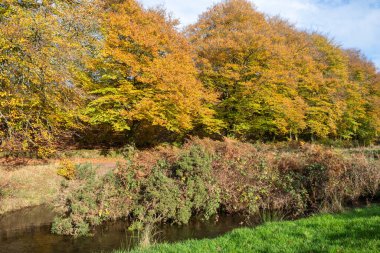 Exmoor Ulusal Parkı 'ndaki Soyguncular Köprüsü' nün altından akan Weir Nehri.