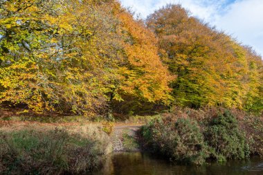Exmoor Ulusal Parkı 'ndaki Soyguncular Köprüsü' nün altından akan Weir Nehri.