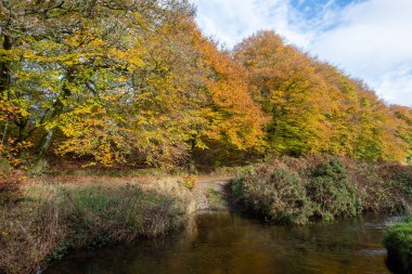 Exmoor Ulusal Parkı 'ndaki Soyguncular Köprüsü' nün altından akan Weir Nehri.