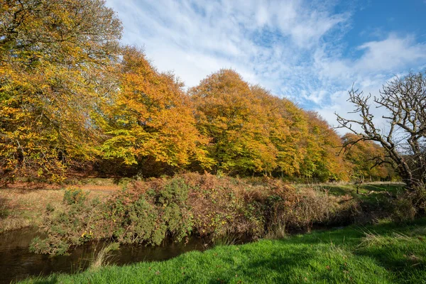 Exmoor Ulusal Parkı 'ndaki Soyguncular Köprüsü' nün altından akan Weir Nehri.