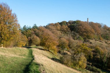 Compton Dundon, Somerset 'teki Polden Yolu' ndaki Amiral Hood Anıtı 'ndaki sonbahar renklerinin manzara fotoğrafı.