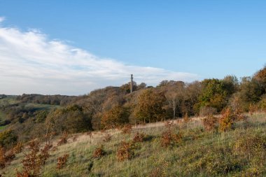 Compton Dundon, Somerset 'teki Polden Yolu' ndaki Amiral Hood Anıtı 'ndaki sonbahar renklerinin manzara fotoğrafı.