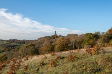 Compton Dundon, Somerset 'teki Polden Yolu' ndaki Amiral Hood Anıtı 'ndaki sonbahar renklerinin manzara fotoğrafı.