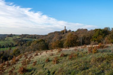 Compton Dundon, Somerset 'teki Polden Yolu' ndaki Amiral Hood Anıtı 'ndaki sonbahar renklerinin manzara fotoğrafı.