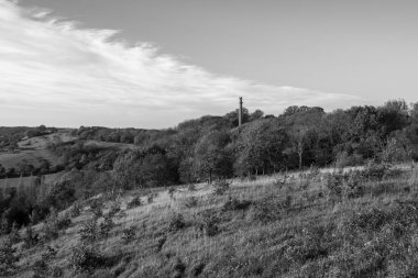 Somerset Compton Dundon 'daki Polden Yolu' ndaki Amiral Hood Anıtı 'nın manzara fotoğrafı.