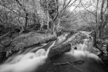 Exmoor Ulusal Parkı 'ndaki Hırsızlar Köprüsü' ndeki vadiden akan Weir Nehri 'ndeki bir şelaleye uzun süre maruz kaldım.