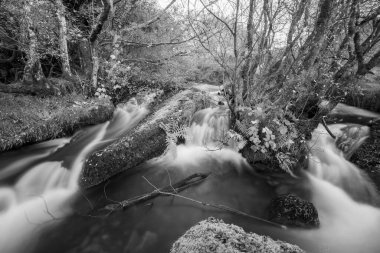 Exmoor Ulusal Parkı 'ndaki Hırsızlar Köprüsü' ndeki vadiden akan Weir Nehri 'ndeki bir şelaleye uzun süre maruz kaldım.