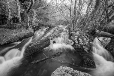 Exmoor Ulusal Parkı 'ndaki Hırsızlar Köprüsü' ndeki vadiden akan Weir Nehri 'ndeki bir şelaleye uzun süre maruz kaldım.