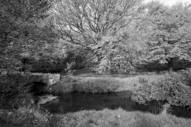 Exmoor Ulusal Parkı 'ndaki Soyguncular Köprüsü' nün altından akan Weir Nehri.