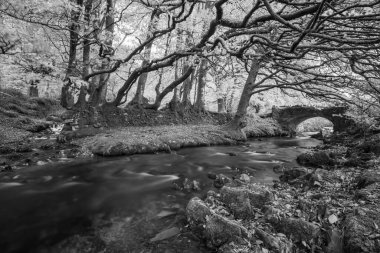 Exmoor Ulusal Parkı 'ndaki Soyguncular Köprüsü' nün altından akan Weir Nehri.