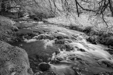 Exmoor Ulusal Parkı 'ndaki Soyguncular Köprüsü' nün altından akan Weir Nehri.