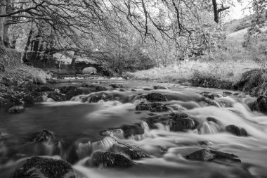 Exmoor Ulusal Parkı 'ndaki Soyguncular Köprüsü' nün altından akan Weir Nehri.