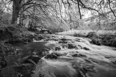 Exmoor Ulusal Parkı 'ndaki Soyguncular Köprüsü' nün altından akan Weir Nehri.