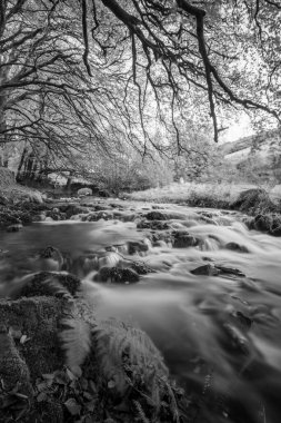 Exmoor Ulusal Parkı 'ndaki Soyguncular Köprüsü' nün altından akan Weir Nehri.