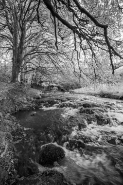 Exmoor Ulusal Parkı 'ndaki Soyguncular Köprüsü' nün altından akan Weir Nehri.