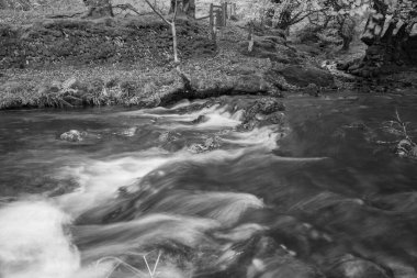 Exmoor Ulusal Parkı 'ndaki Soyguncular Köprüsü' nün akıntısından akan Weir Nehri 'ne uzun süre maruz kalmış.