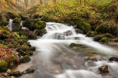 Sonbaharda Exmoor Ulusal Parkı 'ndaki Watersmmet' te Hoar Oak Nehri 'nde bir şelaleye uzun süre maruz kalmak